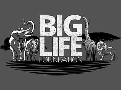 Big-Life-Foundation