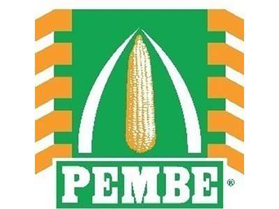 Pembe-Flour-Mills-Ltd-Logo